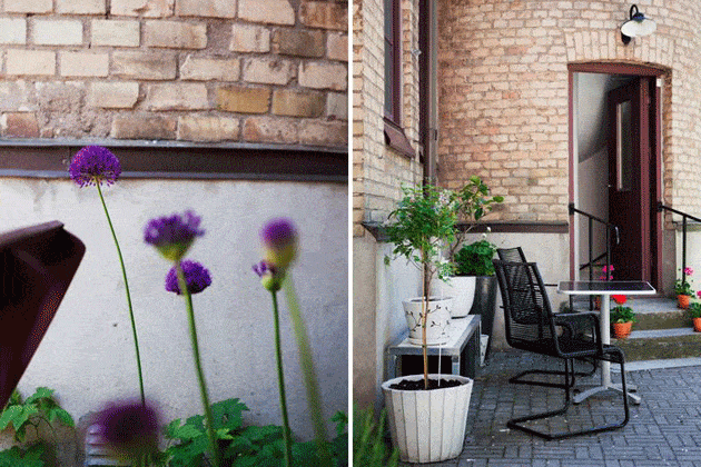 appartement coloré (9)