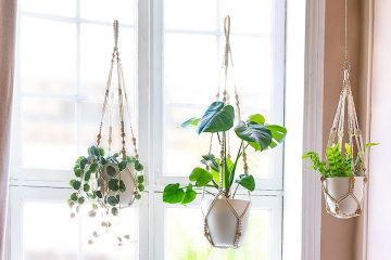 suspension pour plante