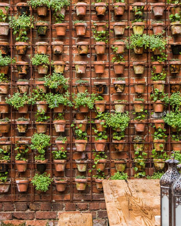 Mur végétal avec des pots de fleurs