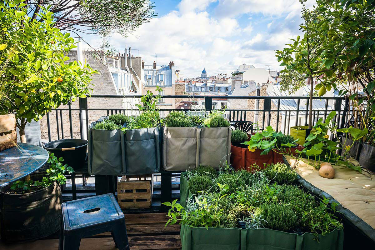 Amenager votre balcon avec des plantes