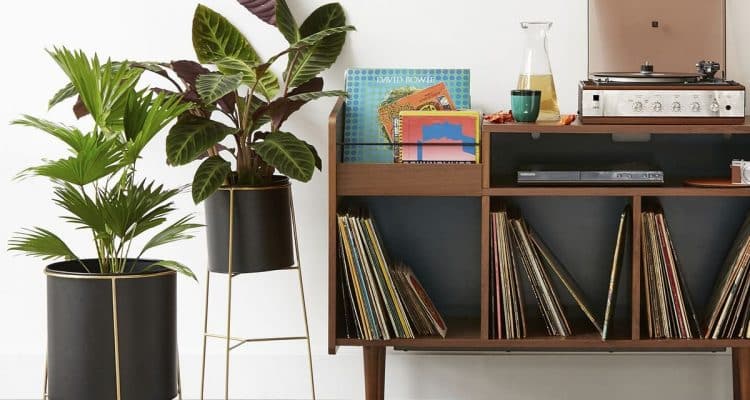 cache pot sur pied