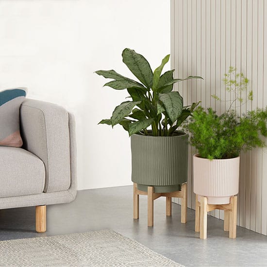 Cache Pot Sur Pied Casa