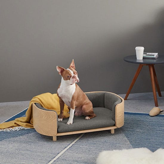 Accessoires pour animaux 10 produits design pour