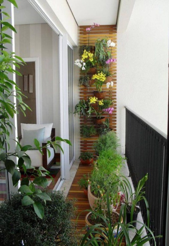 mur végétal sur balcon