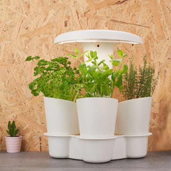 Système de Culture Hydroponique pour Jardin d'intérieur avec Lampe Horticole 6Pods Smart Garden Hauteur jusqu'à 12,2 Pouces kit de Germination des Plantes avec Pompe iDOO Potager d'intérieur 