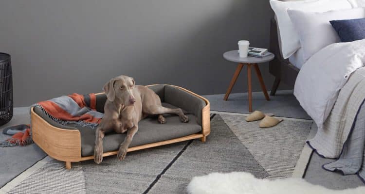 panier pour chien design