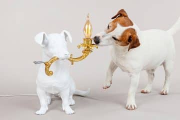 Lampe animal