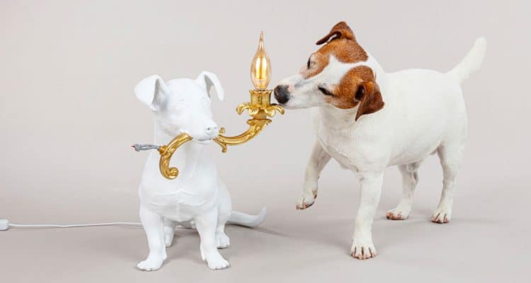 Lampe animal