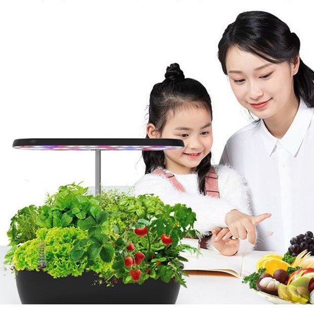 Potager d'interieur hydroponique noir garni de salades et de tomates cerises