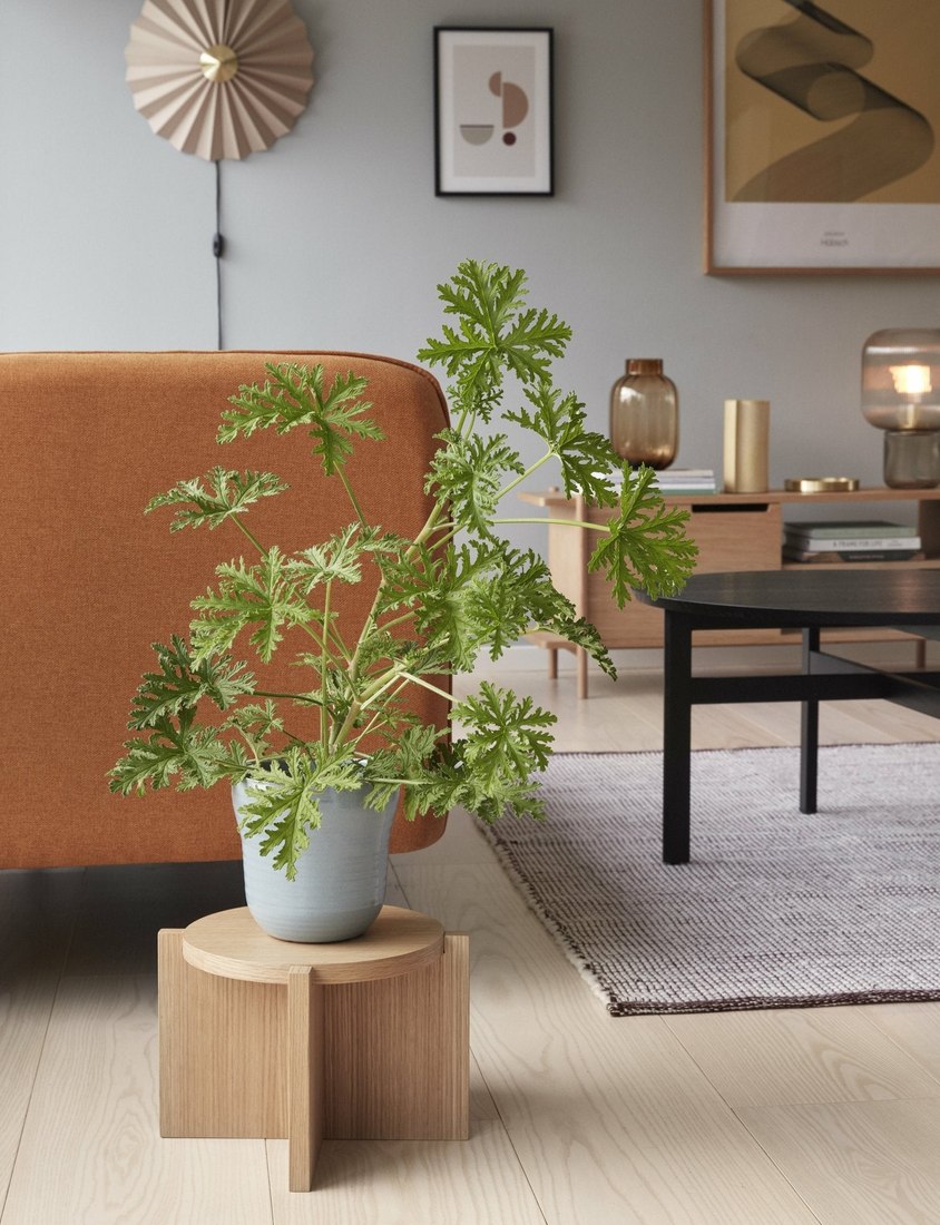 Piédestal pour plantes en bois clair, le Nomad scandinave