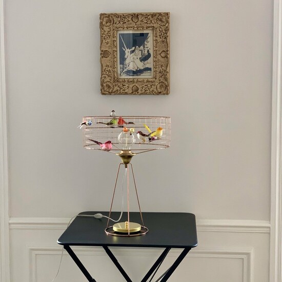 Lampe cage oiseaux Volière