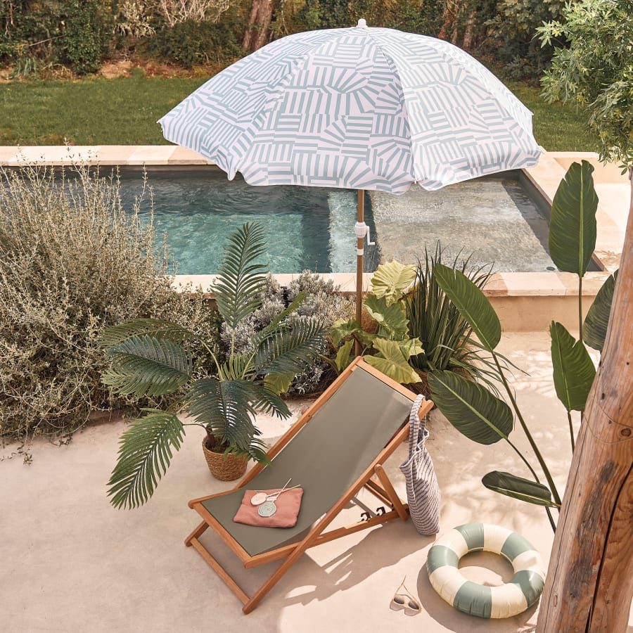 Chilienne Panama en eucalyptus dans un jardin